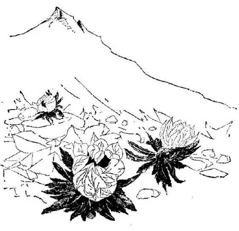 盤點各類地質(zhì)地貌類型-地熱資源開發(fā)-地大熱能